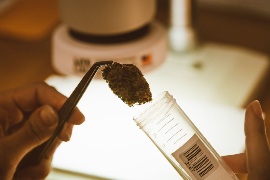 当实验室把营收放在科学前面:UIC大麻DUI检测丑闻的2200份问题报告